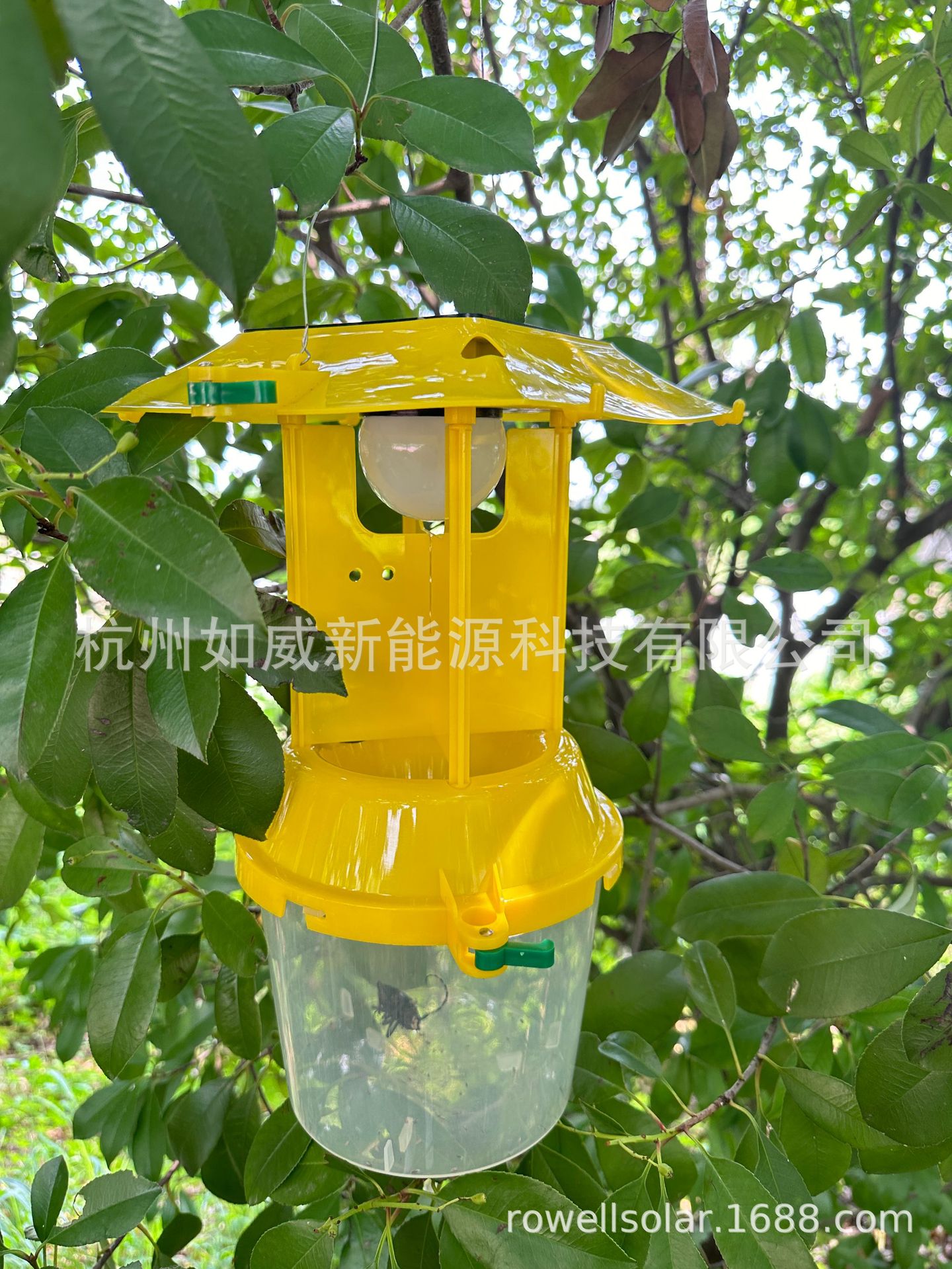 微信图片_20240813164952