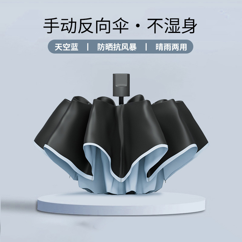 [기본 모델] 8본 방수/비바람에 강함 - 아이스 블루