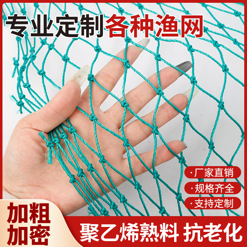 渔网养殖网防鸡网捕鱼网防鸟网菜园山鸡网隔离家禽围网栏网爬藤网
