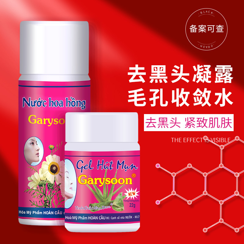 一般贸易 泰国Garysoon去黑头收敛水组合鼻贴芦荟清洁毛孔鼻头