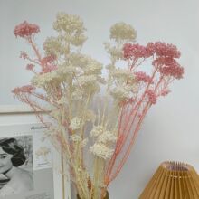 一束鲜花 一束鲜花品牌 图片 价格 一束鲜花批发 阿里巴巴