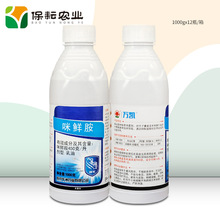 �t̫��f�P 45%���r�� ���� �Gù�� ��ù�� ��Ʒ�rș������1000g