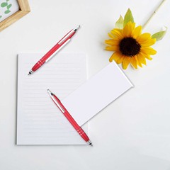 Cross-border new metal ballpoint pen with pull-out pull-crayon advertising promotional pull-crayon gift pull-paper pen