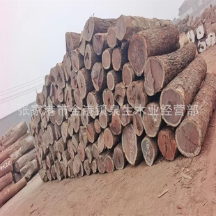 �t�F��ԭľ �t�F����� ���޼t��֦ԭľ��� �m��춵�̌�ľ�Ҿ�