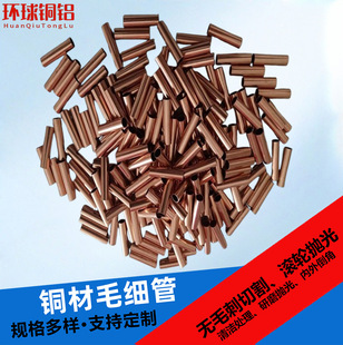 ���l�~ë�������~С�ڏ����{���Ĺ���������x���x���ܶ����и�