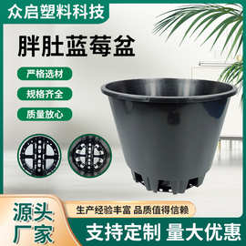 大量批发蓝莓盆加厚圆形控根盆外贸绿植花卉大号透气塑料花盆