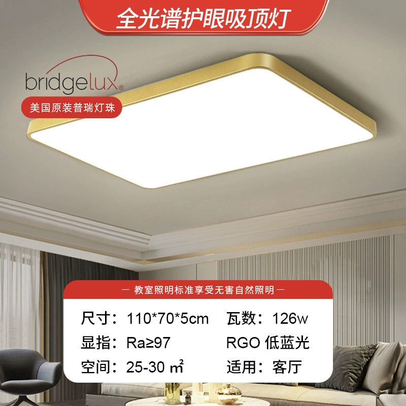 Golden LED ceiling light, lights for corridor, room light, light luxury style