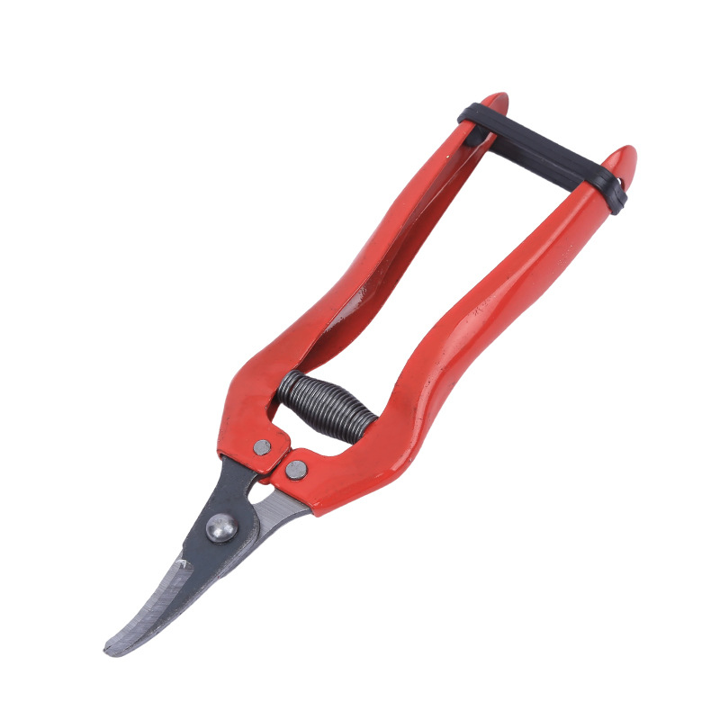 Fábrica de tijeras de corte de frutas delgadas de acero inoxidable tijeras de recoger ramas de árboles frutales tijeras de jardinería bonsai tijeras
