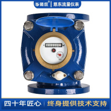 DN200铜罩款水平可拆水表 大口径法兰接口水表冷水表批发