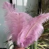 35-40cm ostrich hair DIY feather wedding feather stage home window decoration feathers