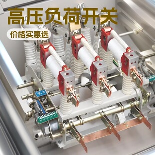 �S��ֱ��FZN21-12D/630~20-31.5kVؓ���_�P FZRN21-12D/T125-31.5