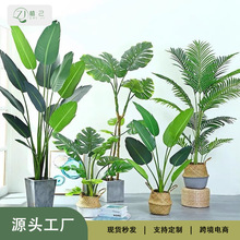 北欧高仿真绿植造景龟背龙血树旅人蕉天堂鸟散尾葵假绿植盆景批发