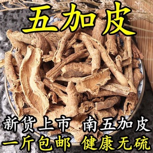 ���Ƥ ��ș�����Ƥ �����Ƥ�� ���r��؛ ɢ�b��؛ 500�˶�Ҏ��