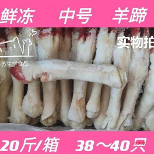 ���r���������������_�����䂀������̖���������uζ���l���l