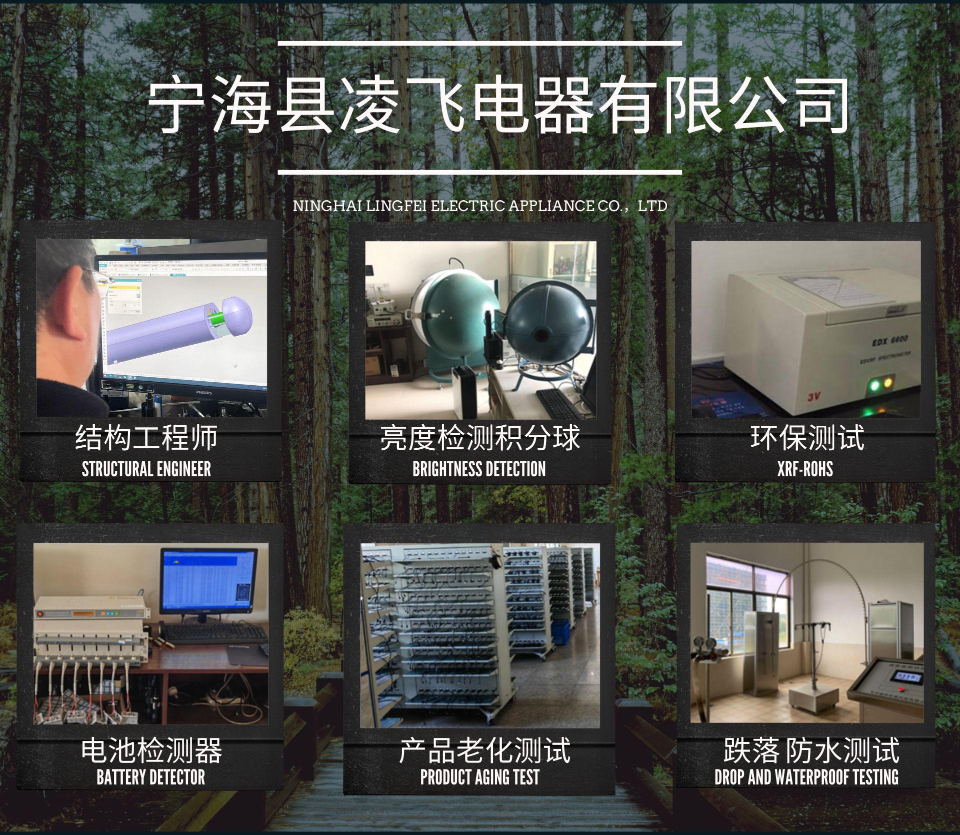 宁海县凌飞电器有限公司 (1)