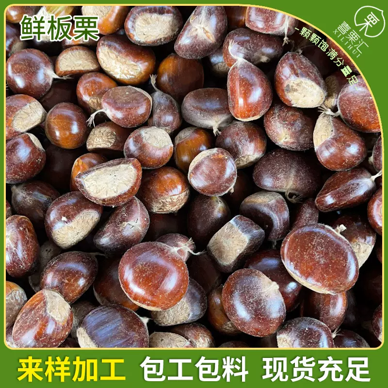 批发燕山鲜板栗生栗子原产地板栗带壳毛栗子栗子生新鲜炒板粟油栗