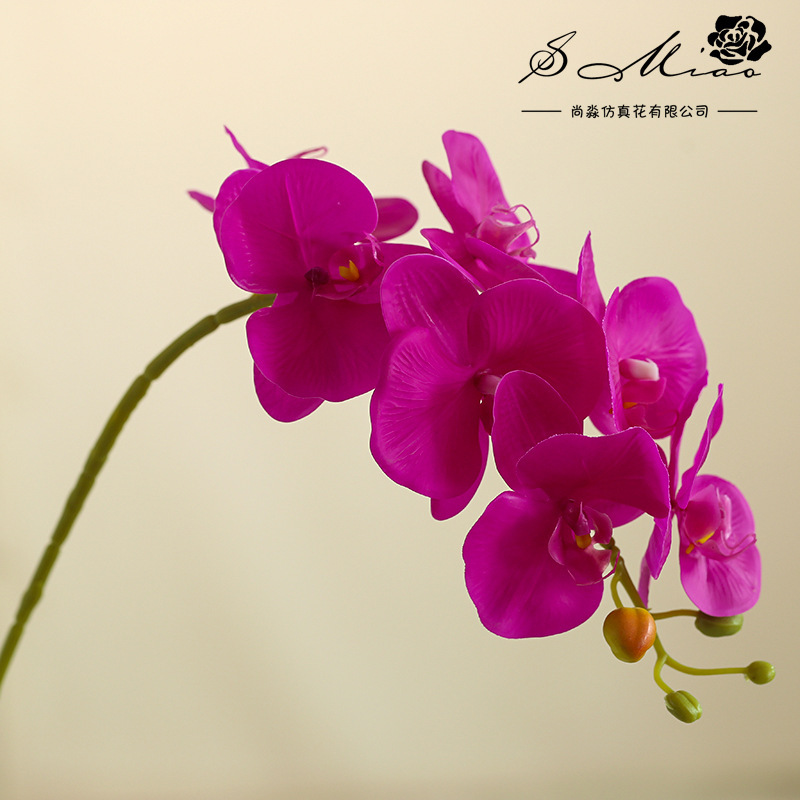 Da7 flores mariposa orquídea bonsai imitación de flores fabricantes directamente para decoración del hogar imitación de flores falsas en maceta ornamentos verdes image 18