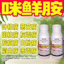 450��/�����r�����ٱ��r���Ú��������r������ș�rș���l