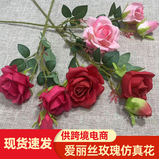 3�^�����zõ����滨��Y�����쾰�bٻ��ҾӾƵ�͏d�����껨