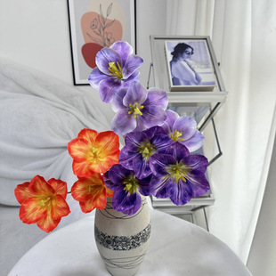 Դ�^���S������ٺϷ��滨�����̈����ղ�����Y��c�����������l