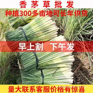 ���r��é��̩��ꎹ���ʳ���̲���Ꙏ�ʲ�ˮ����ʳ��������