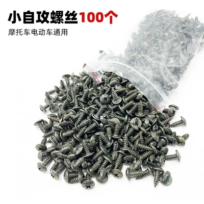 Other Electric Vehicle Accessories | Cards - 100-small-self-tapping-screws