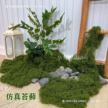 ̦\Ƥ̦΢^Ô[쾰ƺ辰