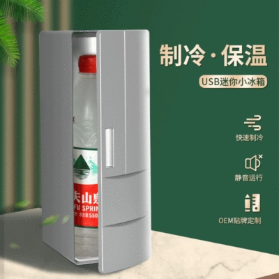 USB refrigerator car fishing leisure carry mini refrigerator Coke mineral water refrigerator discount cross-border distribution (Soyuducular) - c500-silver