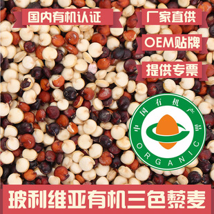 ���ЙC�J�C�������S���M���ЙC��ɫ޼�����p�ЙC�J�C���l���b