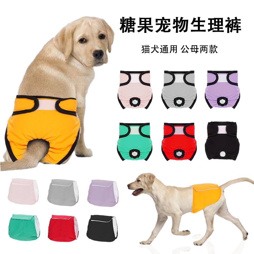 Pantalones Menstruales Anti-Molestias para Perros y Gatos, Pantalones Fisiológicos para Gatos, Ropa para Perros, Pañales, Suministros al por Mayor del Fabricante.