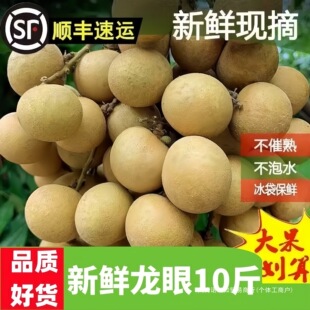 ����S���]���V�|�������r10�����ʯ���������������ˮ���Y���b