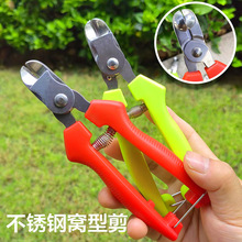 ���P䓸C��ժ���������O�������挣�ò�ժ��ˮ������������֦����