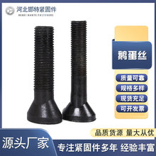 �Z����˨ �ߏ���8.8���Z���z�r����˨ �E�A�^��˨ �������