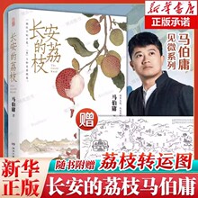 茂长安的荔枝 雷佳音 岳云鹏主演电视 人民文学奖作家马伯庸