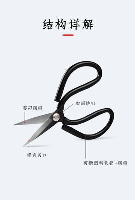 4dc55c50-8775-4fe5-9827-869a7f