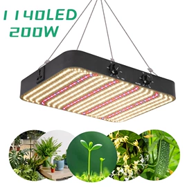 植物生长灯;红外线灯;其他专用灯具