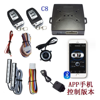 Car anti-theft device: + Keyless Entry + Vibration