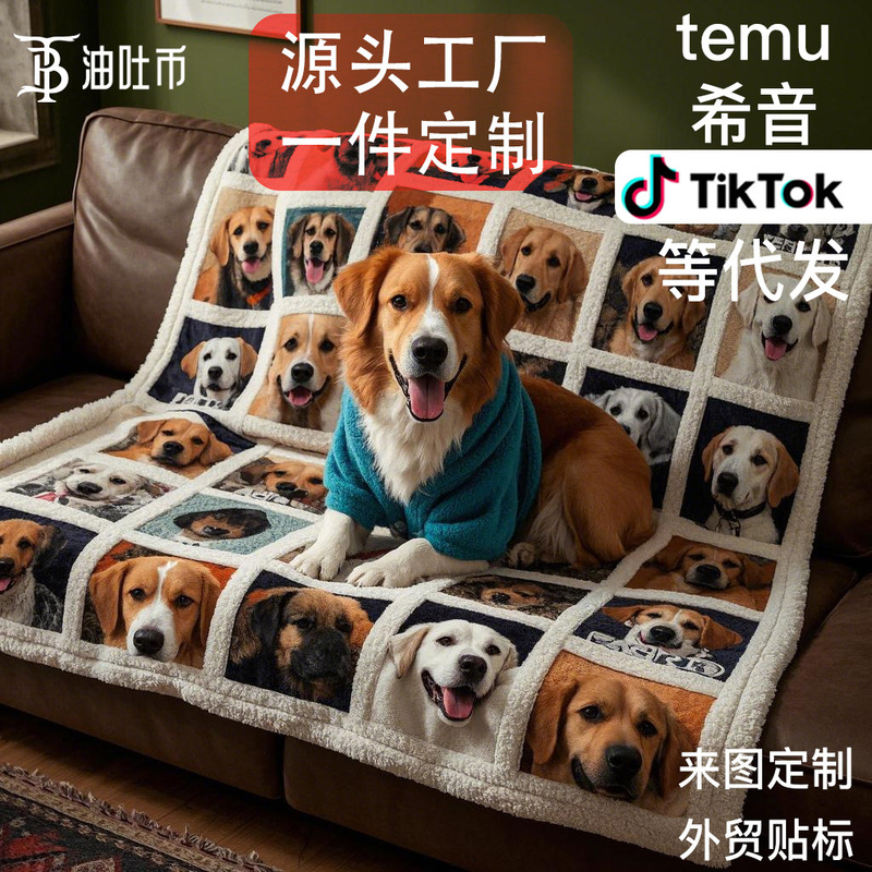 Print Photo Customization Cross-Border Flannel Blanket Nap Sofa Blanket Cat and Dog Pet Digital Printing Cover Blanket Kennel