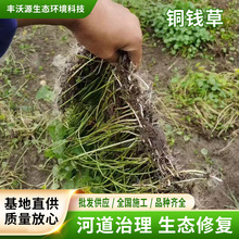 �~�X���㹽��ˮ����~�ļ����~�������Ը��oˮ�Bˮ��ֲ��ˮ��ֲ��