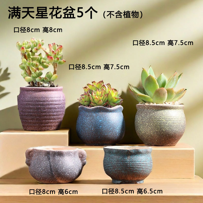Maceta de estrella cálida, maceta de cerámica especial para suculentas, maceta de arcilla para el hogar, venta directa de fábrica al por mayor