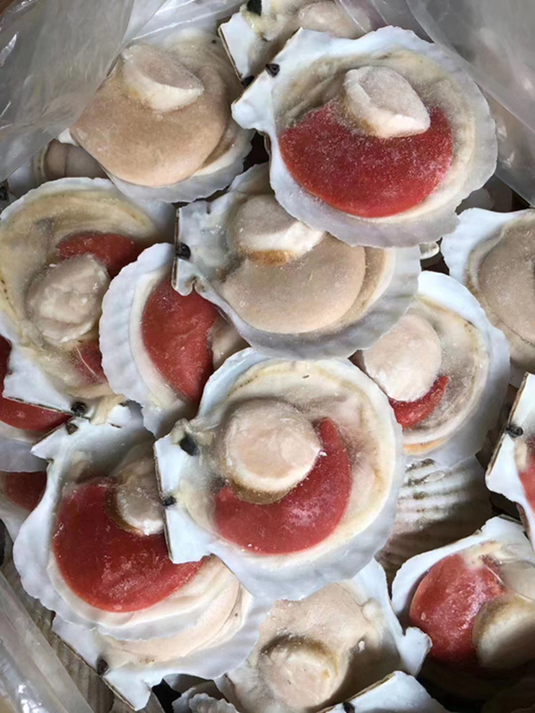 2020_06_23_13_16_IMG_7978_副本