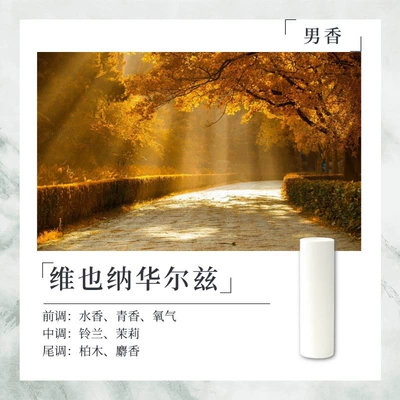 10.5*38mm, Compatible with Smart, Car Perfume Aromatherapy - viennese-waltz-10538mm