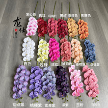 ��Y���滨�����m��������Yӭ�e�û�ˇ9�仨�zƬ3D��ӡ��c��ˇ