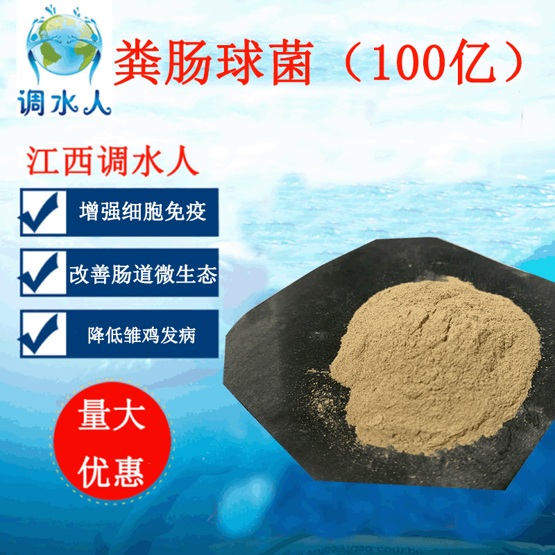 厂家供应粪肠球菌 乳酸菌 100亿 动物养殖用 饲料原料批发