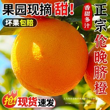 秭归伦晚脐橙10斤橙子应当季水果湖北手剥橙果冻甜橙大果包邮