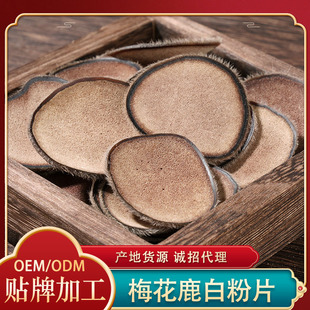 ÷��¹��¹�װ׷�Ƭ���l��֦¹����Ƭһ�����l�|���خa��¹��Ƭ