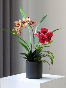 �ٻ��͏d��������m���Ա��W�p���҃��������b��[�O