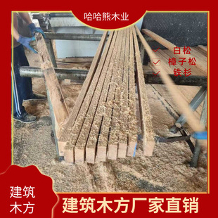 �S�����lľ����������ľ�����Bľ������ľ������ľ���Fɼľ��