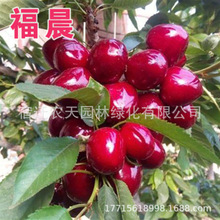 �t��觙��ҹ�������Ҙ�܇�����ϱ����Nֲ���Լ޽�ͥԺ�̨ˮ����