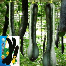���l�Ϲϴ����N�Ӻ�Ƥ�L���h�۱��Ѽ�ͥ�ˈ@�Nֲ�߲˹�˾�߳ɻ���